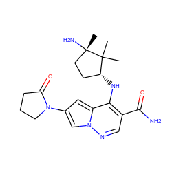 CC1(C)[C@H](Nc2c(C(N)=O)cnn3cc(N4CCCC4=O)cc23)CC[C@]1(C)N ZINC000146112222