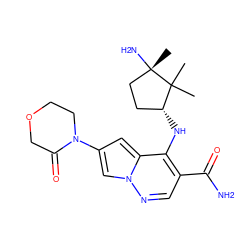 CC1(C)[C@H](Nc2c(C(N)=O)cnn3cc(N4CCOCC4=O)cc23)CC[C@]1(C)N ZINC000169710841