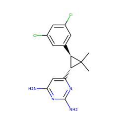 CC1(C)[C@H](c2cc(Cl)cc(Cl)c2)[C@H]1c1cc(N)nc(N)n1 ZINC000013588451