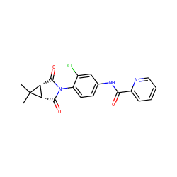 CC1(C)[C@H]2C(=O)N(c3ccc(NC(=O)c4ccccn4)cc3Cl)C(=O)[C@H]21 ZINC000066139884