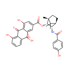 CC1(C)[C@H]2CC[C@@]1(C)[C@@H](OC(=O)c1cc(O)c(C(=O)c3c(O)cccc3C(=O)O)c(O)c1)[C@H]2NC(=O)c1ccc(O)cc1 ZINC000100367696