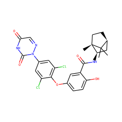 CC1(C)[C@H]2CC[C@@]1(C)[C@H](NC(=O)c1cc(Oc3c(Cl)cc(-n4ncc(=O)[nH]c4=O)cc3Cl)ccc1O)C2 ZINC000101100039