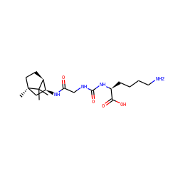 CC1(C)[C@H]2CC[C@]1(C)C[C@@H]2NC(=O)CNC(=O)N[C@@H](CCCCN)C(=O)O ZINC000473137615