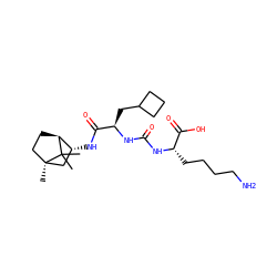 CC1(C)[C@H]2CC[C@]1(C)C[C@H]2NC(=O)[C@@H](CC1CCC1)NC(=O)N[C@@H](CCCCN)C(=O)O ZINC000473113330