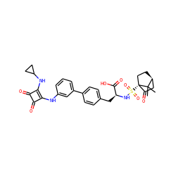 CC1(C)[C@H]2CC[C@]1(S(=O)(=O)N[C@@H](Cc1ccc(-c3cccc(Nc4c(NC5CC5)c(=O)c4=O)c3)cc1)C(=O)O)C(=O)C2 ZINC000101120478