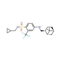 CC1(C)[C@H]2CC[C@H](CNc3ccc(S(=O)(=O)NCC4CC4)c(C(F)(F)F)c3)[C@H]1C2 ZINC000146156184