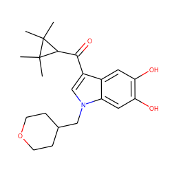 CC1(C)C(C(=O)c2cn(CC3CCOCC3)c3cc(O)c(O)cc23)C1(C)C ZINC000014975809