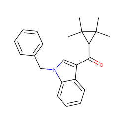 CC1(C)C(C(=O)c2cn(Cc3ccccc3)c3ccccc23)C1(C)C ZINC000035941771