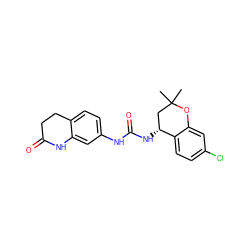 CC1(C)C[C@@H](NC(=O)Nc2ccc3c(c2)NC(=O)CC3)c2ccc(Cl)cc2O1 ZINC000143441490