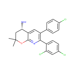 CC1(C)C[C@H](N)c2cc(-c3ccc(Cl)cc3)c(-c3ccc(Cl)cc3Cl)nc2O1 ZINC000049035100