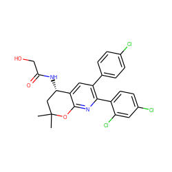 CC1(C)C[C@H](NC(=O)CO)c2cc(-c3ccc(Cl)cc3)c(-c3ccc(Cl)cc3Cl)nc2O1 ZINC000049034908