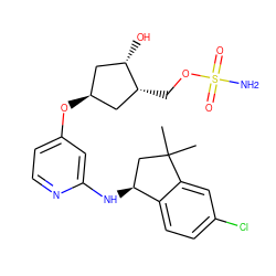 CC1(C)C[C@H](Nc2cc(O[C@H]3C[C@H](O)[C@H](COS(N)(=O)=O)C3)ccn2)c2ccc(Cl)cc21 ZINC000114582879