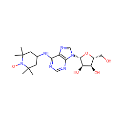 CC1(C)CC(Nc2ncnc3c2ncn3[C@@H]2O[C@H](CO)[C@@H](O)[C@H]2O)CC(C)(C)N1[O] ZINC000101269005