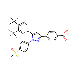 CC1(C)CCC(C)(C)c2cc(-c3cc(-c4ccc(C(=O)O)cc4)nn3-c3ccc(S(C)(=O)=O)cc3)ccc21 ZINC000653900909