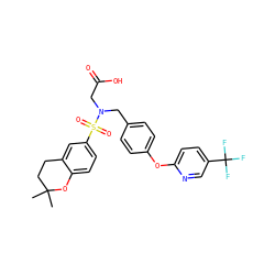 CC1(C)CCc2cc(S(=O)(=O)N(CC(=O)O)Cc3ccc(Oc4ccc(C(F)(F)F)cn4)cc3)ccc2O1 ZINC000299829841