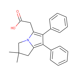 CC1(C)Cc2c(-c3ccccc3)c(-c3ccccc3)c(CC(=O)O)n2C1 ZINC000000004811