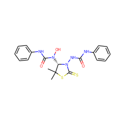 CC1(C)SC(=S)N(NC(=O)Nc2ccccc2)[C@H]1N(O)C(=O)Nc1ccccc1 ZINC000008397327