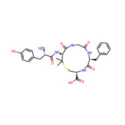 CC1(C)SC[C@H](C(=O)O)NC(=O)[C@H](Cc2ccccc2)NC(=O)CNC(=O)[C@@H]1NC(=O)[C@@H](N)Cc1ccc(O)cc1 ZINC000003990490