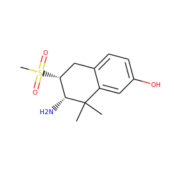 CC1(C)c2cc(O)ccc2C[C@@H](S(C)(=O)=O)[C@H]1N ZINC000026838803