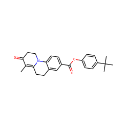 CC1=C2CCc3cc(C(=O)Oc4ccc(C(C)(C)C)cc4)ccc3N2CCC1=O ZINC000013580700