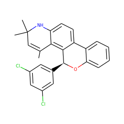 CC1=CC(C)(C)Nc2ccc3c(c21)[C@H](c1cc(Cl)cc(Cl)c1)Oc1ccccc1-3 ZINC000003831961