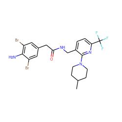 CC1CCN(c2nc(C(F)(F)F)ccc2CNC(=O)Cc2cc(Br)c(N)c(Br)c2)CC1 ZINC000118200863