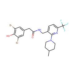 CC1CCN(c2nc(C(F)(F)F)ccc2CNC(=O)Cc2cc(Br)c(O)c(Br)c2)CC1 ZINC000118199410