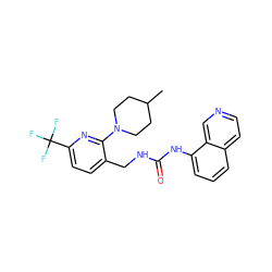 CC1CCN(c2nc(C(F)(F)F)ccc2CNC(=O)Nc2cccc3ccncc23)CC1 ZINC000145768858