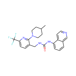 CC1CCN(c2nc(C(F)(F)F)ccc2CNC(=O)Nc2cccc3cnccc23)CC1 ZINC000145853773