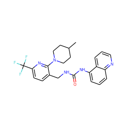 CC1CCN(c2nc(C(F)(F)F)ccc2CNC(=O)Nc2cccc3ncccc23)CC1 ZINC000145744326