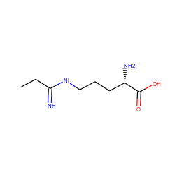 CCC(=N)NCCC[C@H](N)C(=O)O ZINC000040380536