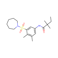 CCC(C)(C)C(=O)Nc1cc(C)c(C)c(S(=O)(=O)N2CCCCCC2)c1 ZINC000045374528