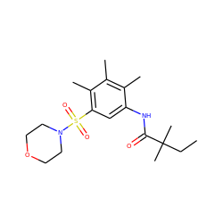 CCC(C)(C)C(=O)Nc1cc(S(=O)(=O)N2CCOCC2)c(C)c(C)c1C ZINC000045314879