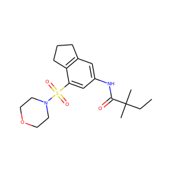 CCC(C)(C)C(=O)Nc1cc2c(c(S(=O)(=O)N3CCOCC3)c1)CCC2 ZINC000045387442