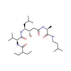 CCC(CC)C(=O)N[C@H](C(=O)N[C@@H](CC(C)C)[C@@H](O)CC(=O)N[C@@H](C)C(=O)NCCC(C)C)C(C)C ZINC000027877064
