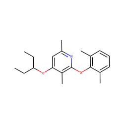 CCC(CC)Oc1cc(C)nc(Oc2c(C)cccc2C)c1C ZINC000014974984