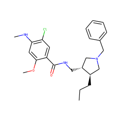 CCC[C@@H]1CN(Cc2ccccc2)C[C@H]1CNC(=O)c1cc(Cl)c(NC)cc1OC ZINC000027900994