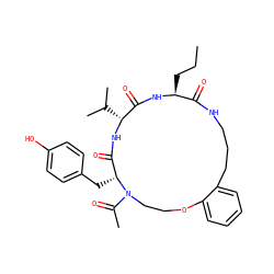 CCC[C@@H]1NC(=O)[C@@H](C(C)C)NC(=O)[C@@H](Cc2ccc(O)cc2)N(C(C)=O)CCOc2ccccc2CCCNC1=O ZINC000036160743