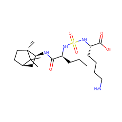 CCC[C@H](NS(=O)(=O)N[C@@H](CCCCN)C(=O)O)C(=O)N[C@H]1C[C@H]2CC[C@]1(C)C2(C)C ZINC000201000852