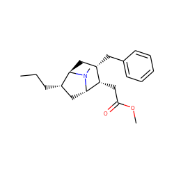 CCC[C@H]1C[C@H]2[C@@H](CC(=O)OC)[C@@H](Cc3ccccc3)C[C@H]1N2C ZINC000101981914