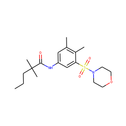 CCCC(C)(C)C(=O)Nc1cc(C)c(C)c(S(=O)(=O)N2CCOCC2)c1 ZINC000045350054