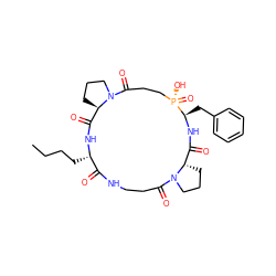 CCCC[C@@H]1NC(=O)[C@H]2CCCN2C(=O)CC[P@](=O)(O)[C@@H](Cc2ccccc2)NC(=O)[C@@H]2CCCN2C(=O)CCNC1=O ZINC000026646770