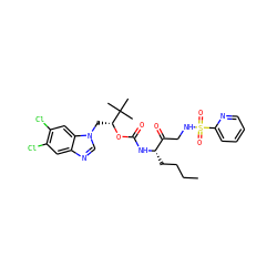CCCC[C@H](NC(=O)O[C@H](Cn1cnc2cc(Cl)c(Cl)cc21)C(C)(C)C)C(=O)CNS(=O)(=O)c1ccccn1 ZINC000003988881