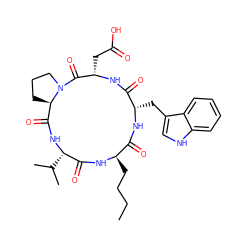 CCCC[C@H]1NC(=O)[C@H](C(C)C)NC(=O)[C@H]2CCCN2C(=O)[C@H](CC(=O)O)NC(=O)[C@H](Cc2c[nH]c3ccccc23)NC1=O ZINC000027434659