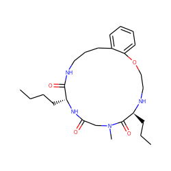 CCCC[C@H]1NC(=O)CN(C)C(=O)[C@H](CCC)NCCOc2ccccc2CCCNC1=O ZINC000073141797