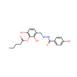 CCCCC(=O)Oc1c(O)ccc(CNNC(=O)c2ccc(O)cc2)c1O ZINC001772611705