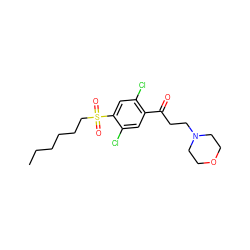 CCCCCCS(=O)(=O)c1cc(Cl)c(C(=O)CCN2CCOCC2)cc1Cl ZINC000043072682