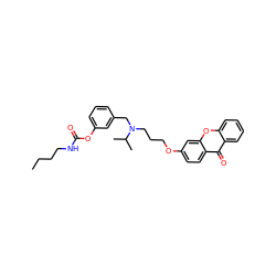 CCCCNC(=O)Oc1cccc(CN(CCCOc2ccc3c(=O)c4ccccc4oc3c2)C(C)C)c1 ZINC000013781340