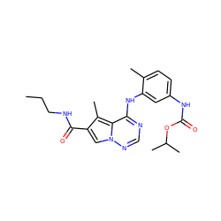 CCCNC(=O)c1cn2ncnc(Nc3cc(NC(=O)OC(C)C)ccc3C)c2c1C ZINC000014974273