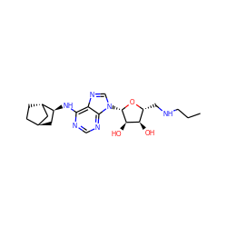 CCCNC[C@H]1O[C@@H](n2cnc3c(N[C@H]4C[C@H]5CC[C@H]4C5)ncnc32)[C@H](O)[C@@H]1O ZINC000101465699